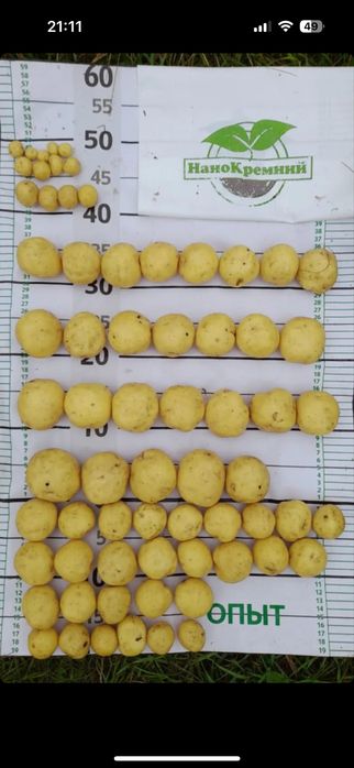 Удобрение нанокремний