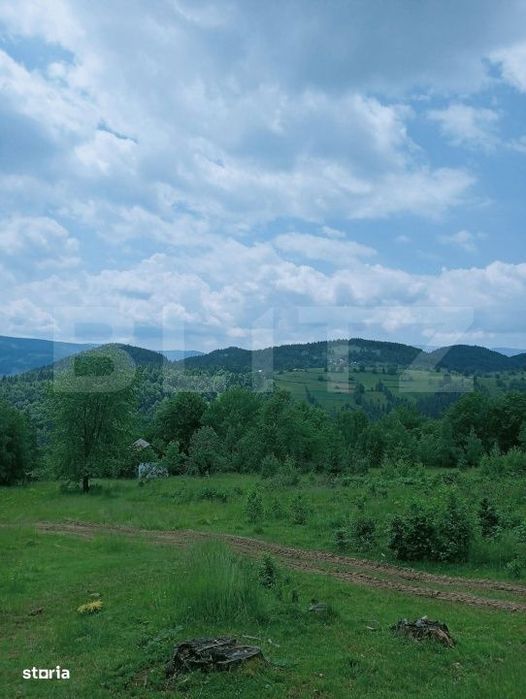 Teren intravilan de vanzare, 30.121 mp, Trancesti, Scarisoara