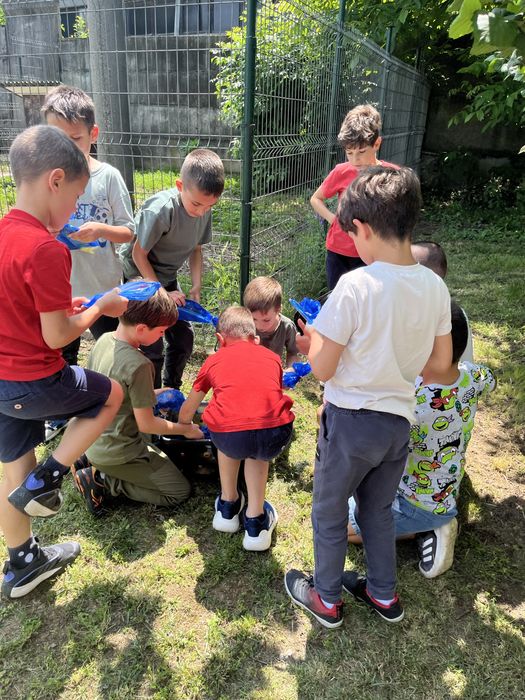 Аниматори Плевен