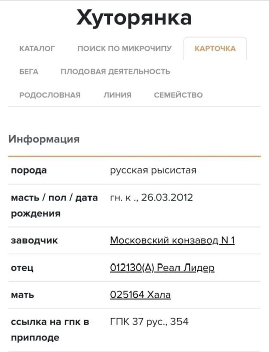 Продам    кобылу