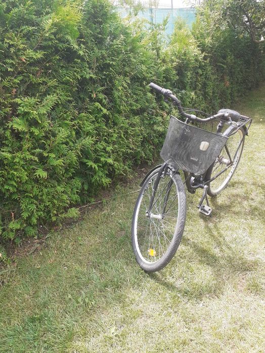 Biciclete dama