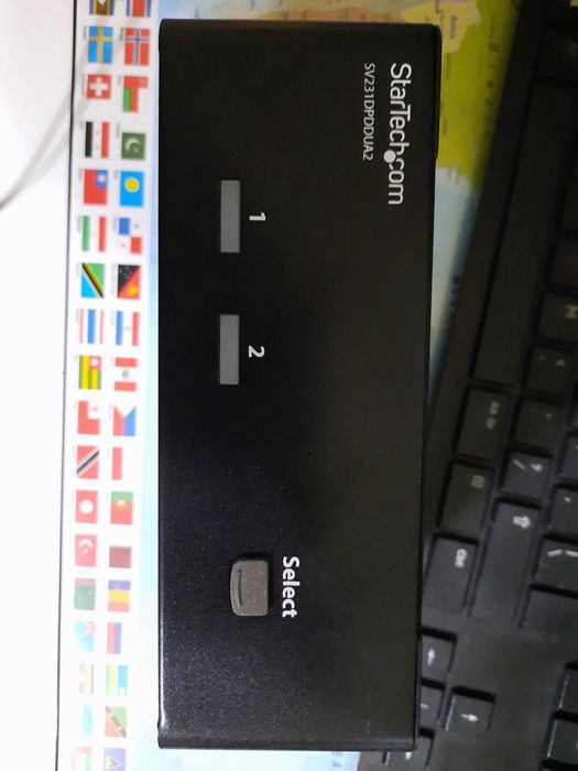 Comutator Video 2 PC-uri : DVI Model CS22D si Display Port Startech