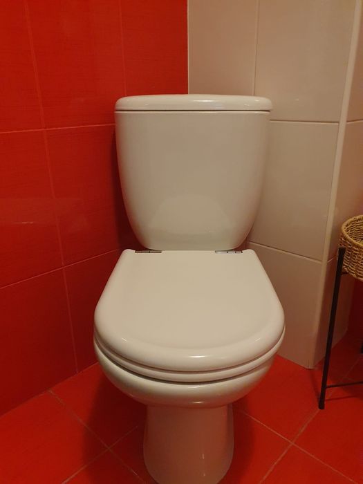 Vas Wc pe pardoseala Sanindusa, rezervor aparent si capac inclus
