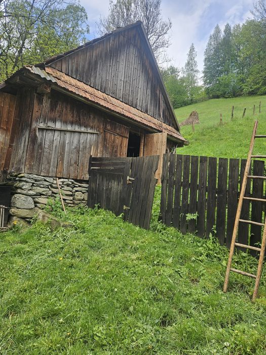 Vind poiata ,buna pt constructie cabana