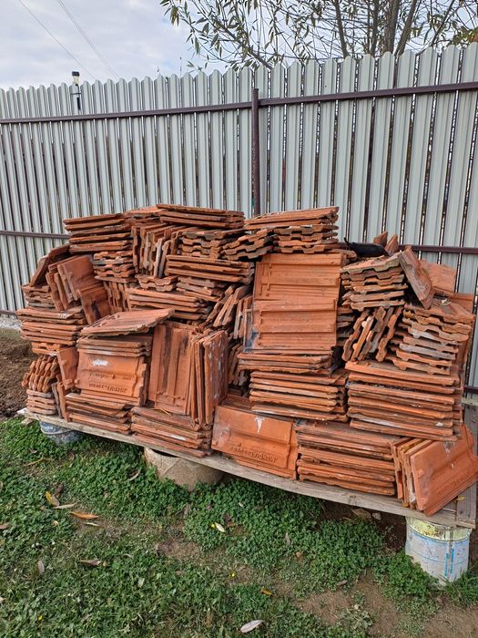 Roti iarna Solenza bicicleta copii anvelope iarna caseta direcție Loga