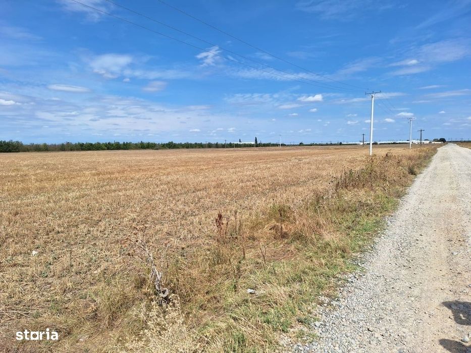 Teren Buzau, 32.000mp