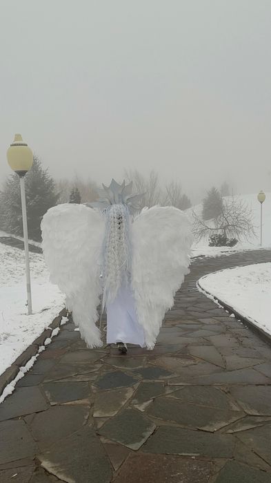 Большие Крылья Ангела