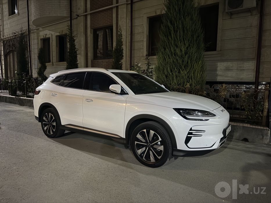 Byd champion 605 full