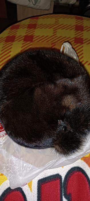 Норковая шапкааа