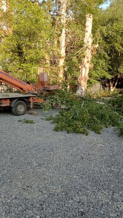 Спилим дерево  распилим на дрова.