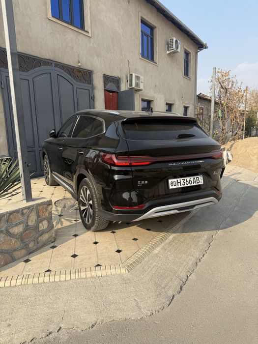 BVD Song Plus EV CHempion 605