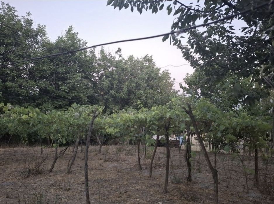 Oqtosh tomonda srochna dacha uchun joy