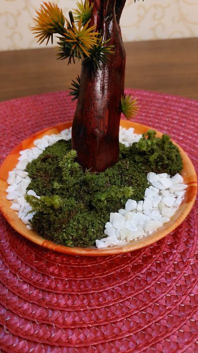 Бонсай авторская работа