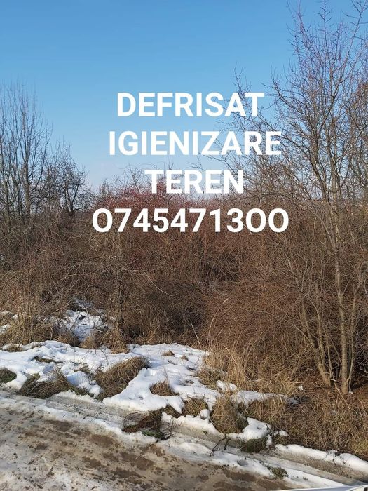 Defrișat taiat iarba  vegetație spini mărăcini .