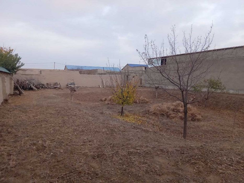 Yer uchastkasi sotiladi. Navoiy viloyati Qiziltepa tumanida.