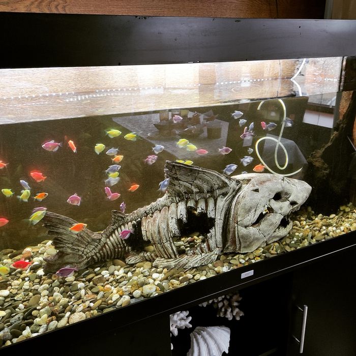 Обслуживание аквариумов