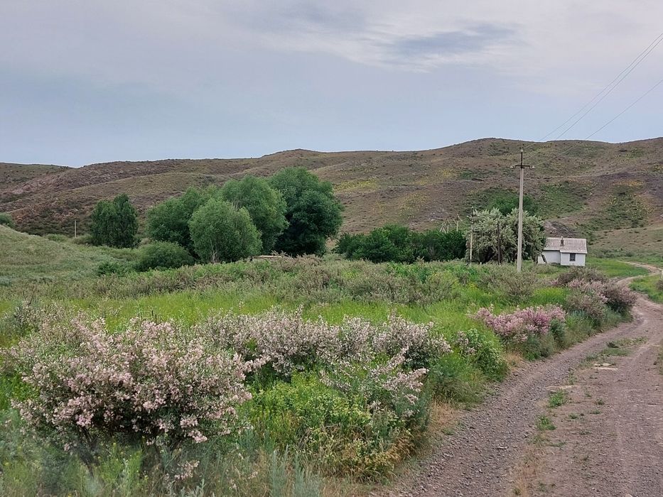 Крестянское хозяйство