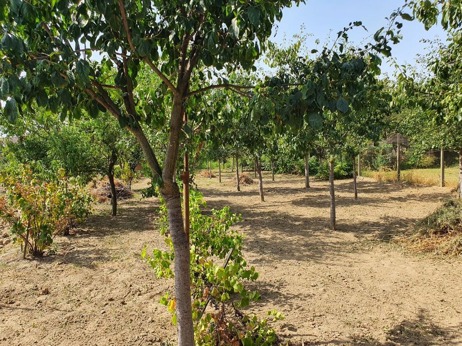 Proprietar vând casa în Lugoj