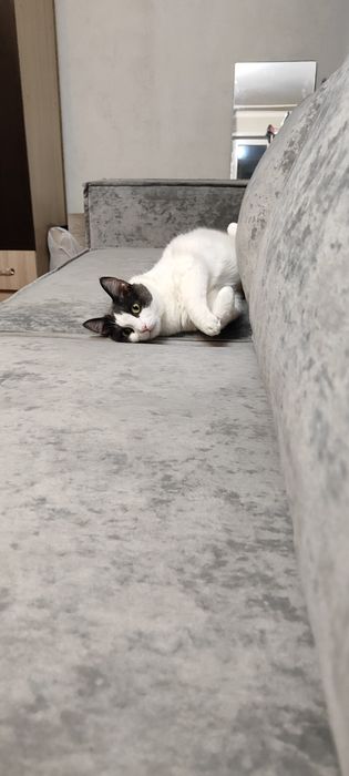 Продам диван 150.000