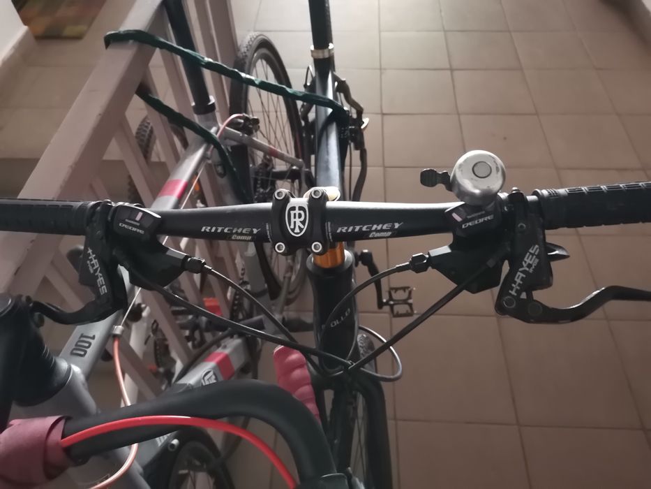 Bicicleta  de oras