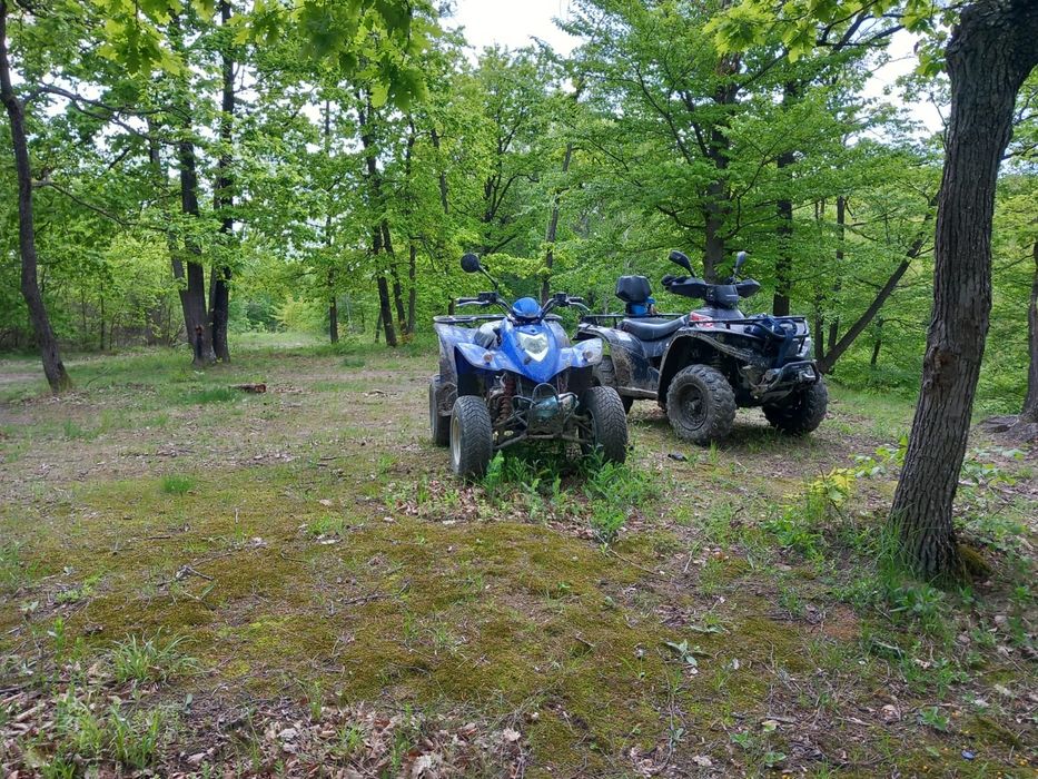 Atv kimko kxr 250