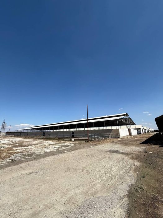 Tayyor 4,5 gektarli ferma sotiladi (Buxoro/kogon)