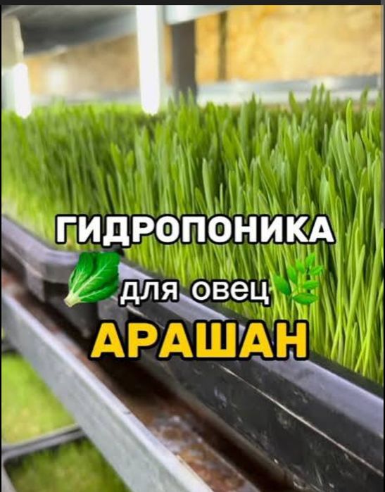 Гидропоник ем. Органик ем.