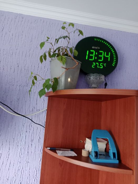 Продам растения комнатные