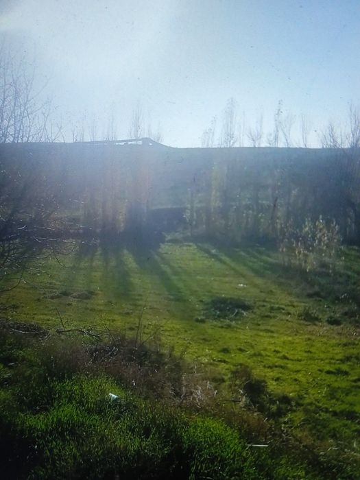 Yer sotiladi 4 sotik sotigi 2200 $