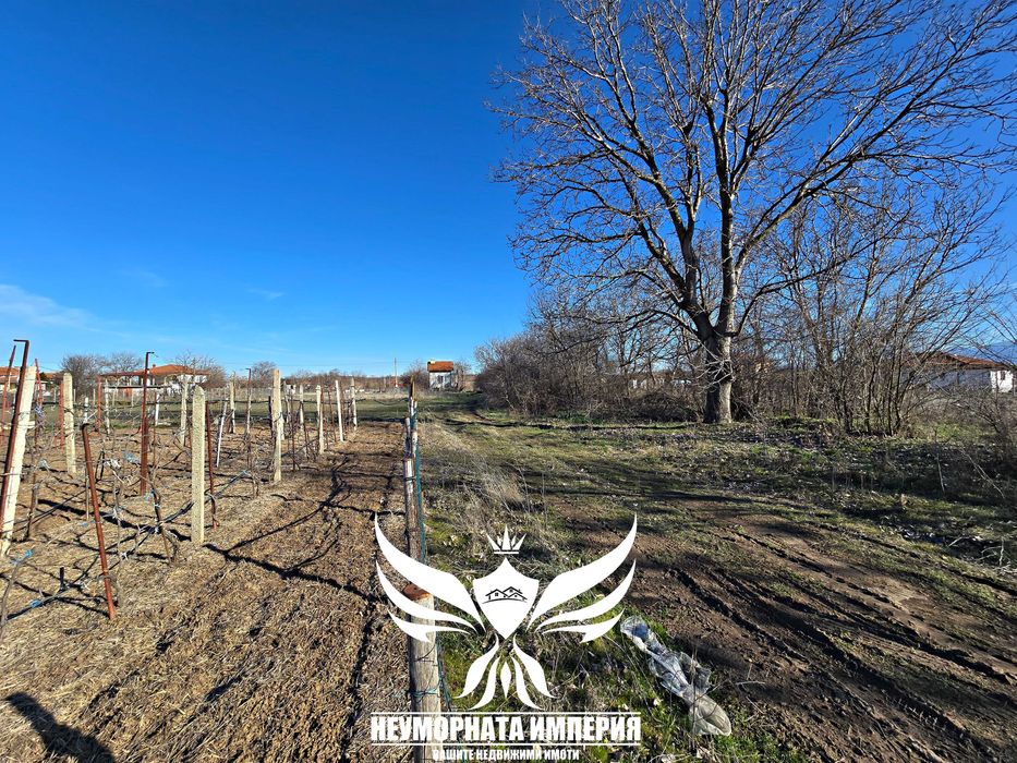 Продавам парцел 1000кв.м. статут УПИ в село Избеглии