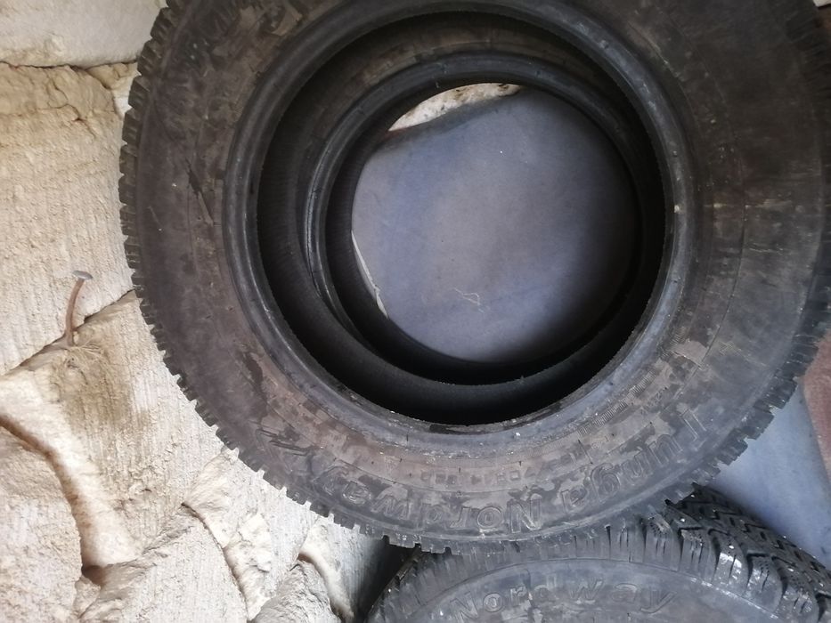 Автошиный зымный шипи аяк