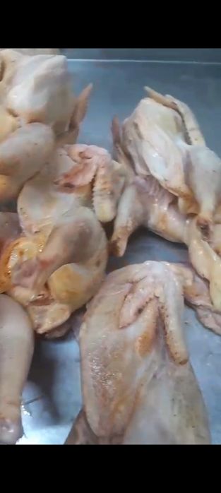 мясо куры домашние