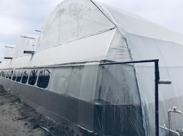 Parnik Ijaraga beramiz Samarqand ( Superda )