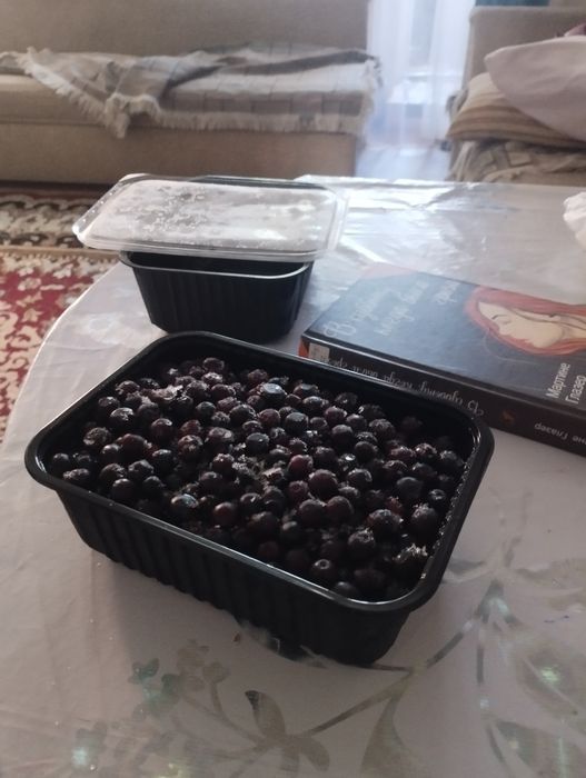 Продам ирга и қарақат вкусный замороженный. по 1500 т