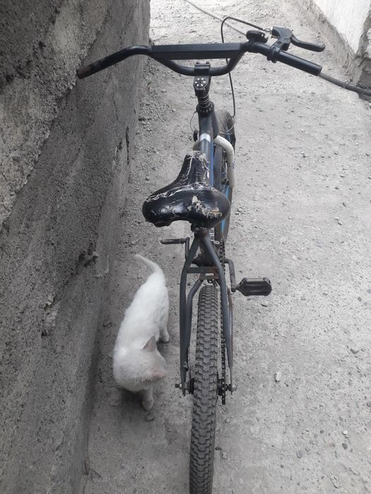 Велосипед подростковый