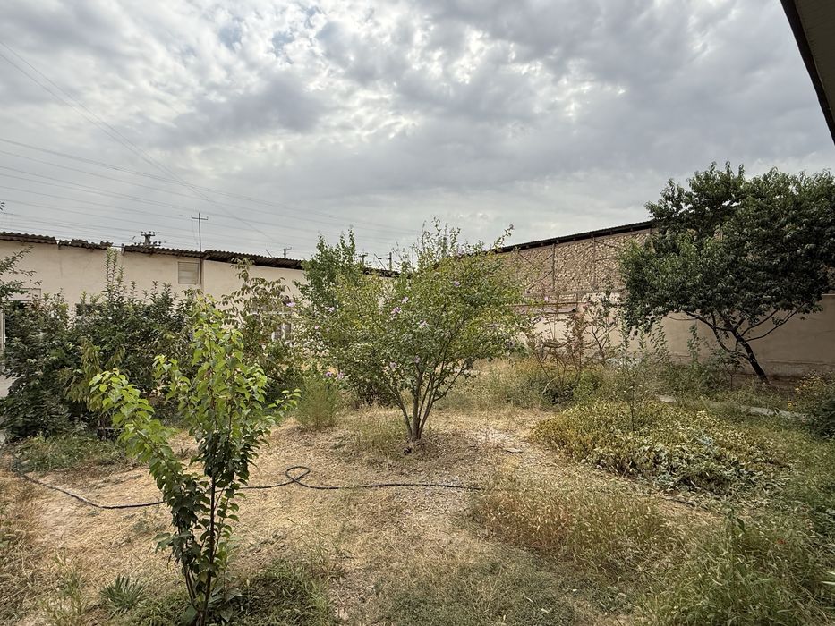 Hovli sotiladi. Yo'l yuzida