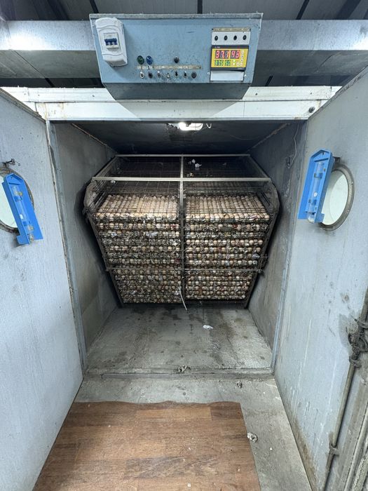 Комплект Инкубатор на 45000 яиц