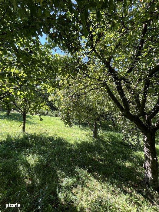 !!2 LOTURI TEREN INTRAVILAN!! 1500 si 1659 mp Comarnic, Vatra Satului