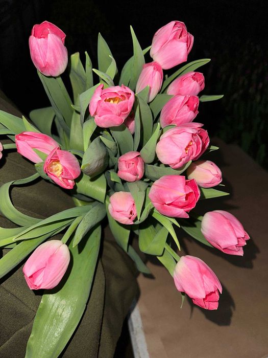 Тюльпаны оптом и в розницу