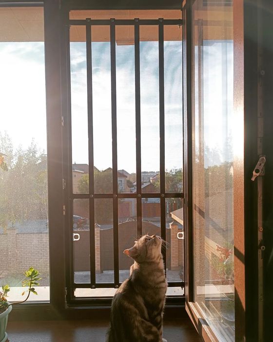 Решётки от выпадения