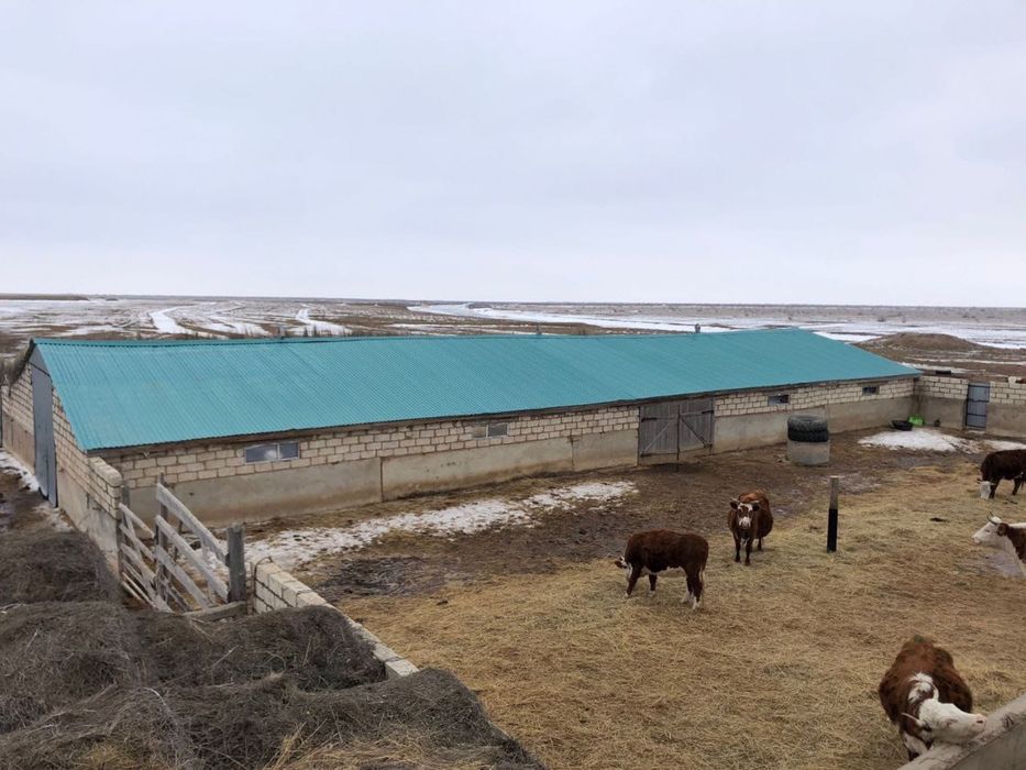 Шаруа қожалғы сатылады