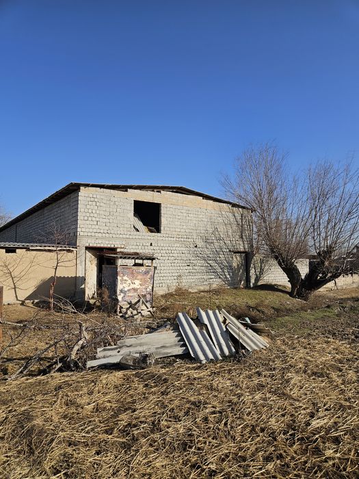 Молхона, уй кадастр бор