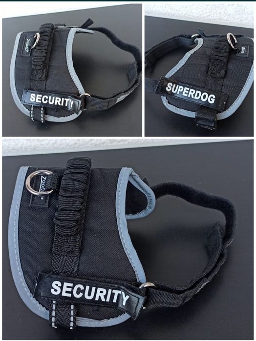 zgarda caine catel pisica pisic ham lesa la plimbare