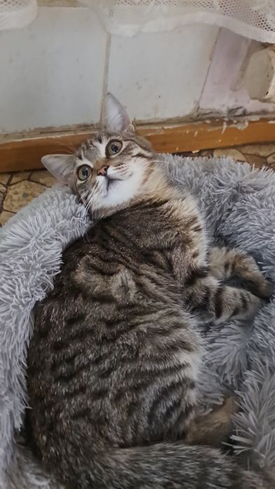 Мальчик 4мес ищет дом