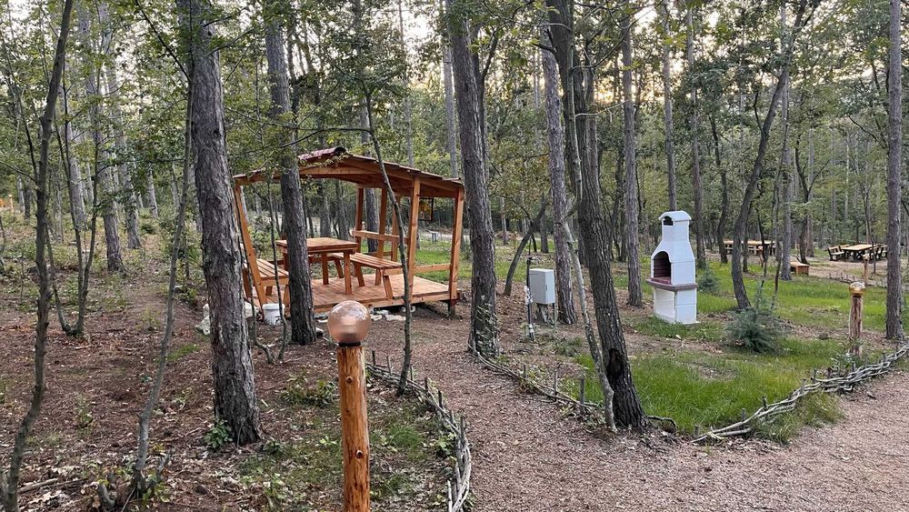 Рожден ден в горски парк