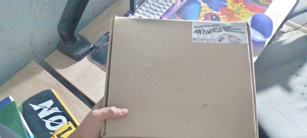 формикарий со всем  оборудованием