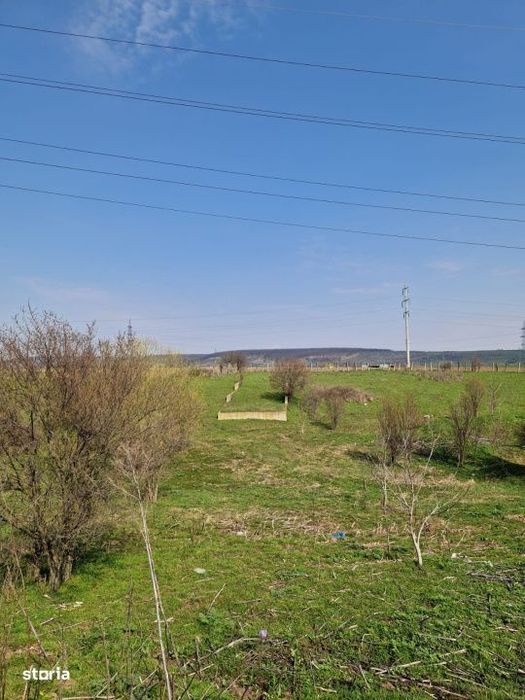 Teren extravilan, 500 mp de vanzare in Pielesti, comision 0%