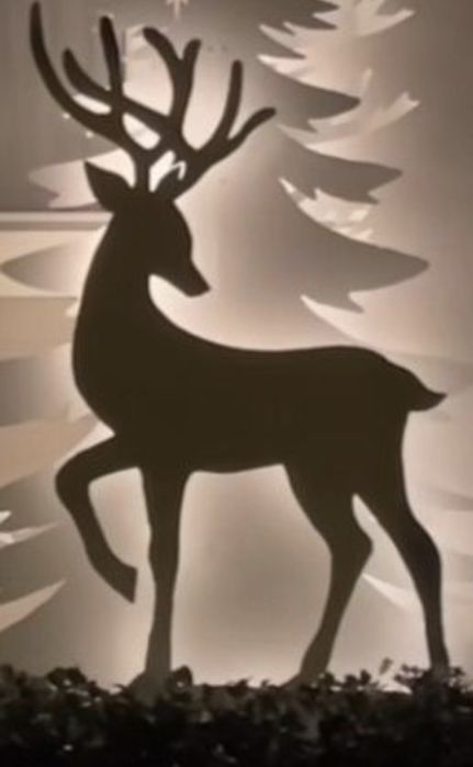 Decor luminos de Crăciun