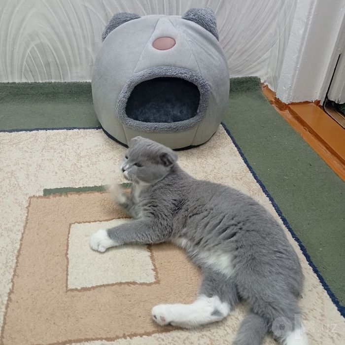 Домик для кошки с подушкой