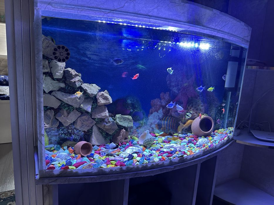 Akvarium sotiladi